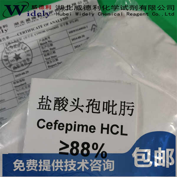 盐酸头孢吡肟/头孢吡肟盐酸盐 123171-59-5  Cefepime HCL 