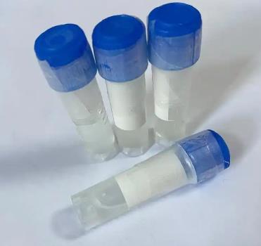 磷酸化tau217蛋白抗体、Tau(Thr217) Antibody、p-tau217 Antibody