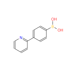 170230-27-0；4-(2-吡啶基)苯硼酸；(4-(Pyridin-2-yl)phenyl)boronic acid