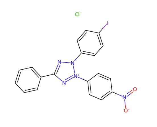 碘硝基四唑紫 146-68-9 Iodonitrotetrazolium chloride（INT）