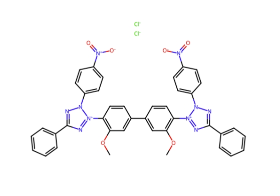 氯化硝基四氮唑蓝 298-83-9 Nitro blue tetrazolium chloride (NBT)