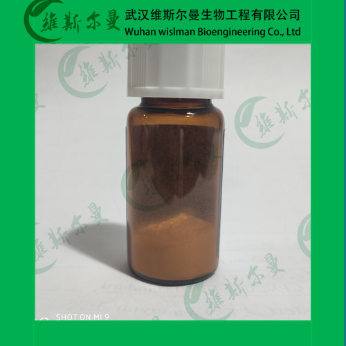 维利帕尼-Veliparib-912444-00-9-纯度98%-高纯化学试剂-找维斯尔曼王华