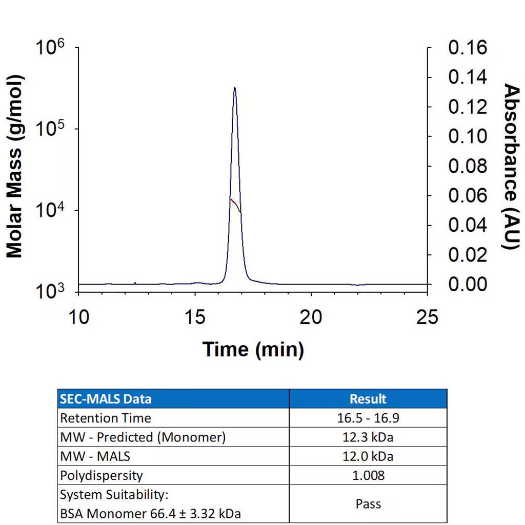 Recombinant Human IL-13 Protein 25ug(R&D Systems 213-ILB/CF)