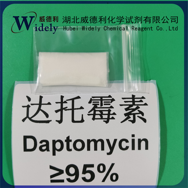 达托霉素 103060-53-3 Daptomycin