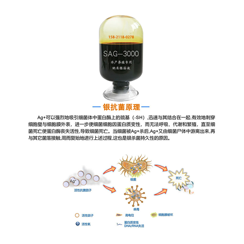 水产养殖专用纳米银溶液，鱼虾贝疾病水性抗菌剂 无耐药性无污染