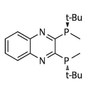 (R,R)-(-)-2,3-双(T-叔丁基甲基磷)喹喔啉