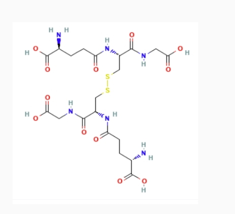 L -氧化谷胱甘肽 27025-41-8 L-Glutathione oxidized