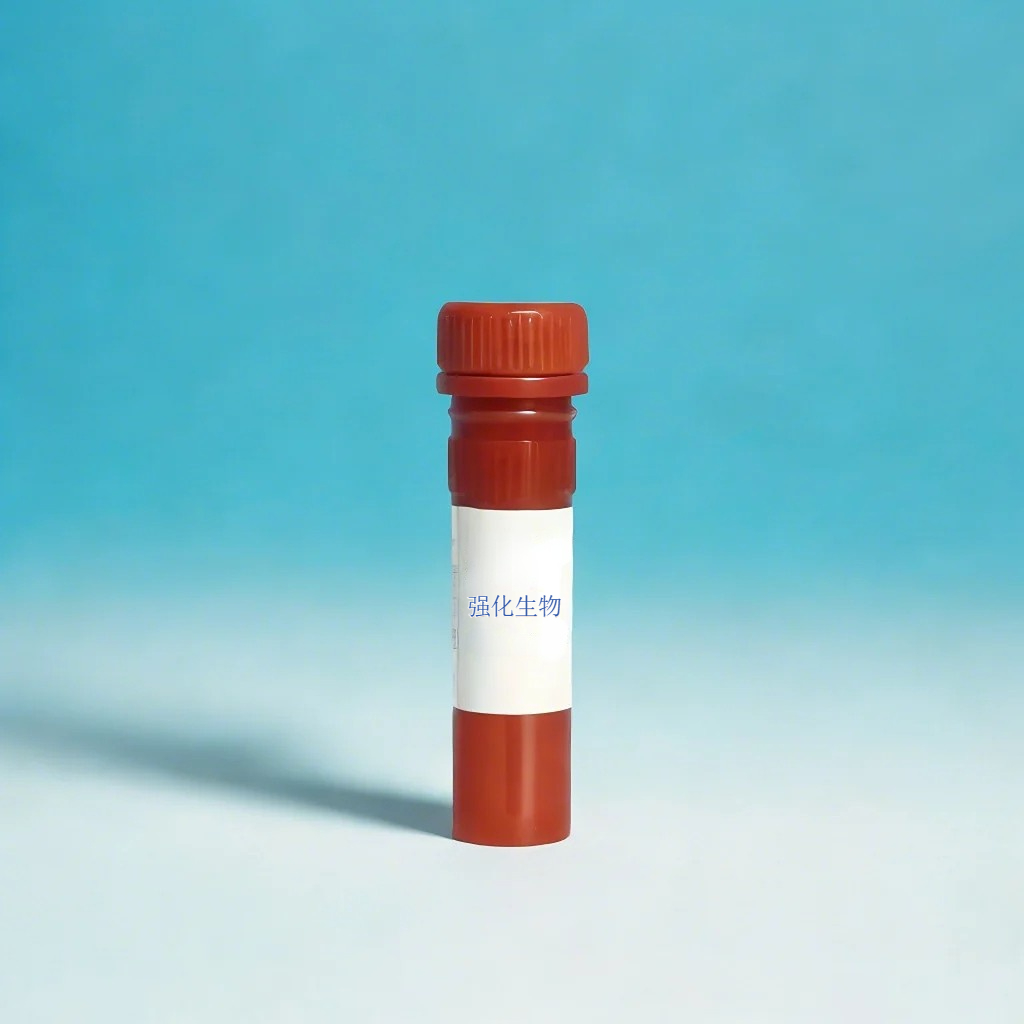 Hypoxyprobe-F6（CCI-103F），实验的步骤