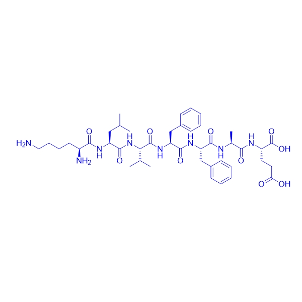 β - 淀粉样蛋白（16 - 22）/153247-41-7/Amyloid β-Protein (16-22)