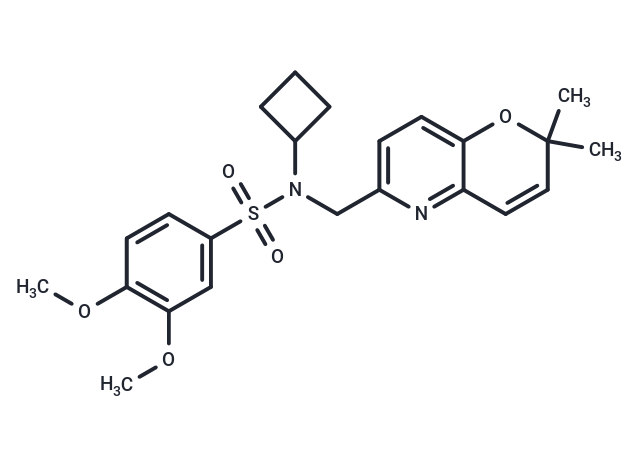 化合物 Arylsulfonamide 64B|T85732|TargetMol