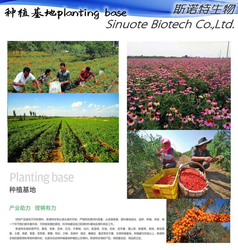 4种植基地 (7).jpg