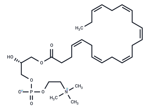 化合物 1-Docosahexaenoyl-sn-glycero-3-phosphocholine|T84286|TargetMol