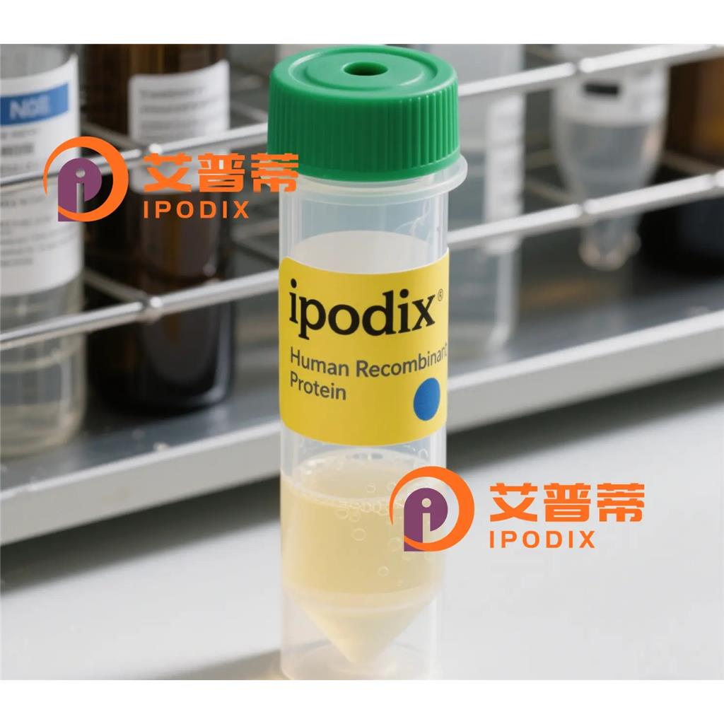 Rabbit Polyclonal GFRA3 Antibody