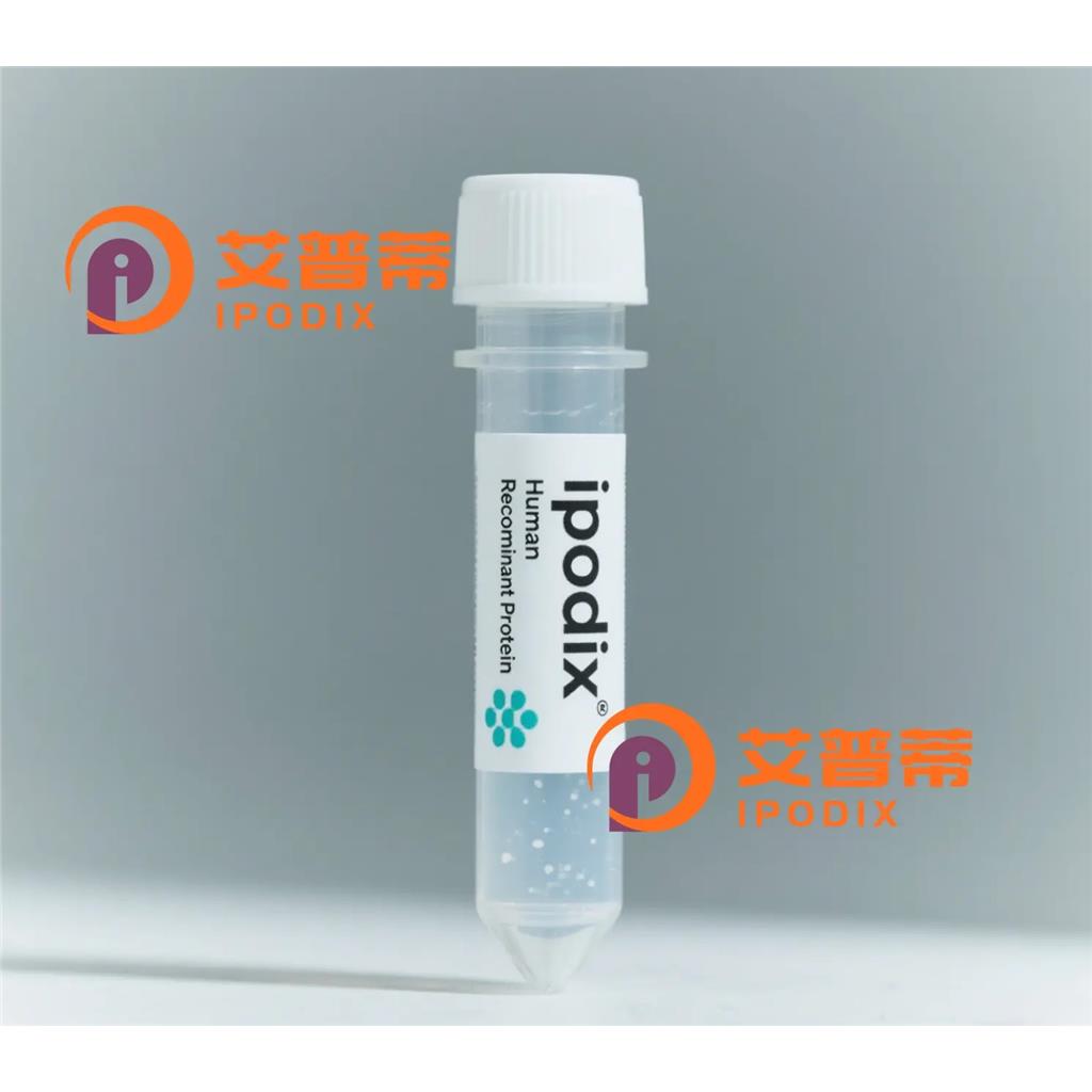 Rabbit Polyclonal MAP4K1 Antibody