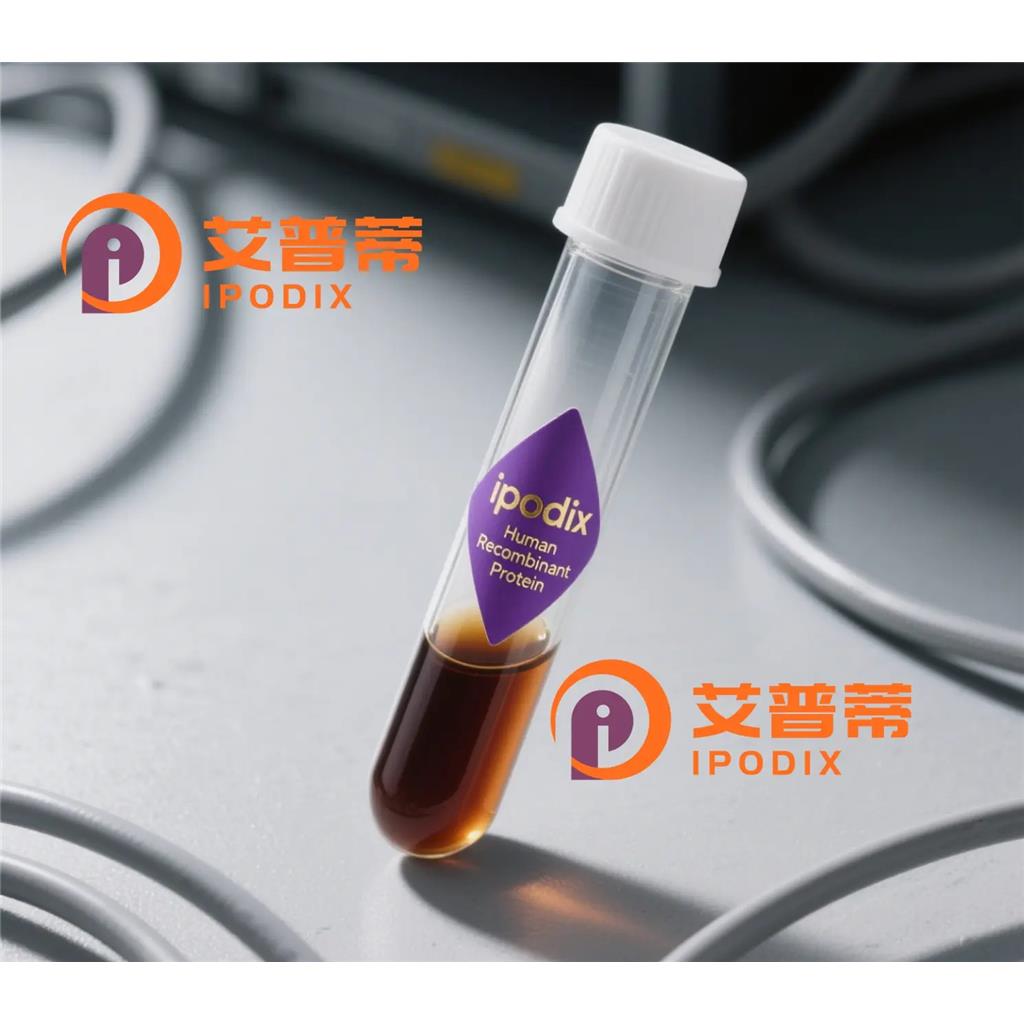 CD8A抗体—艾普蒂