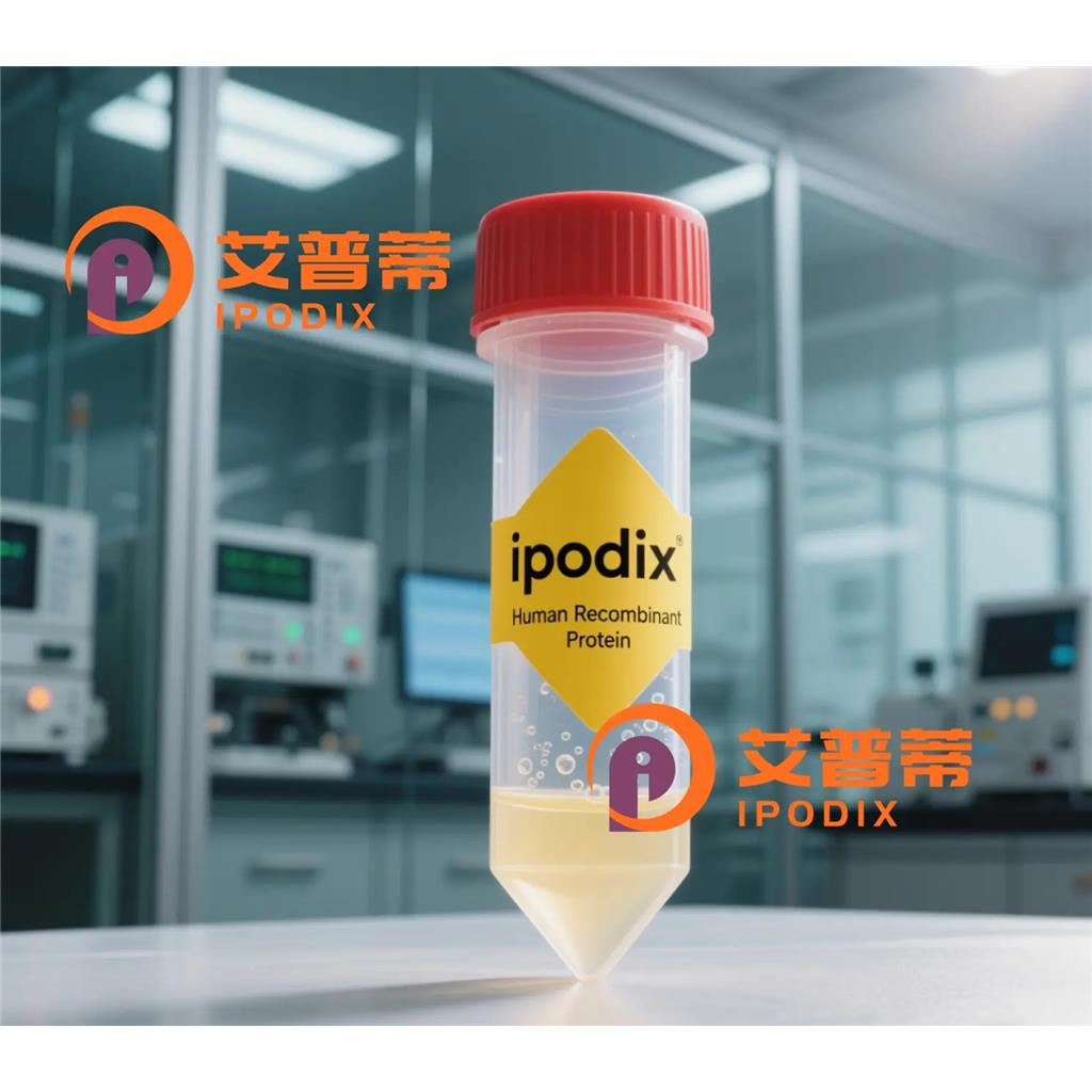 CD141抗体—艾普蒂