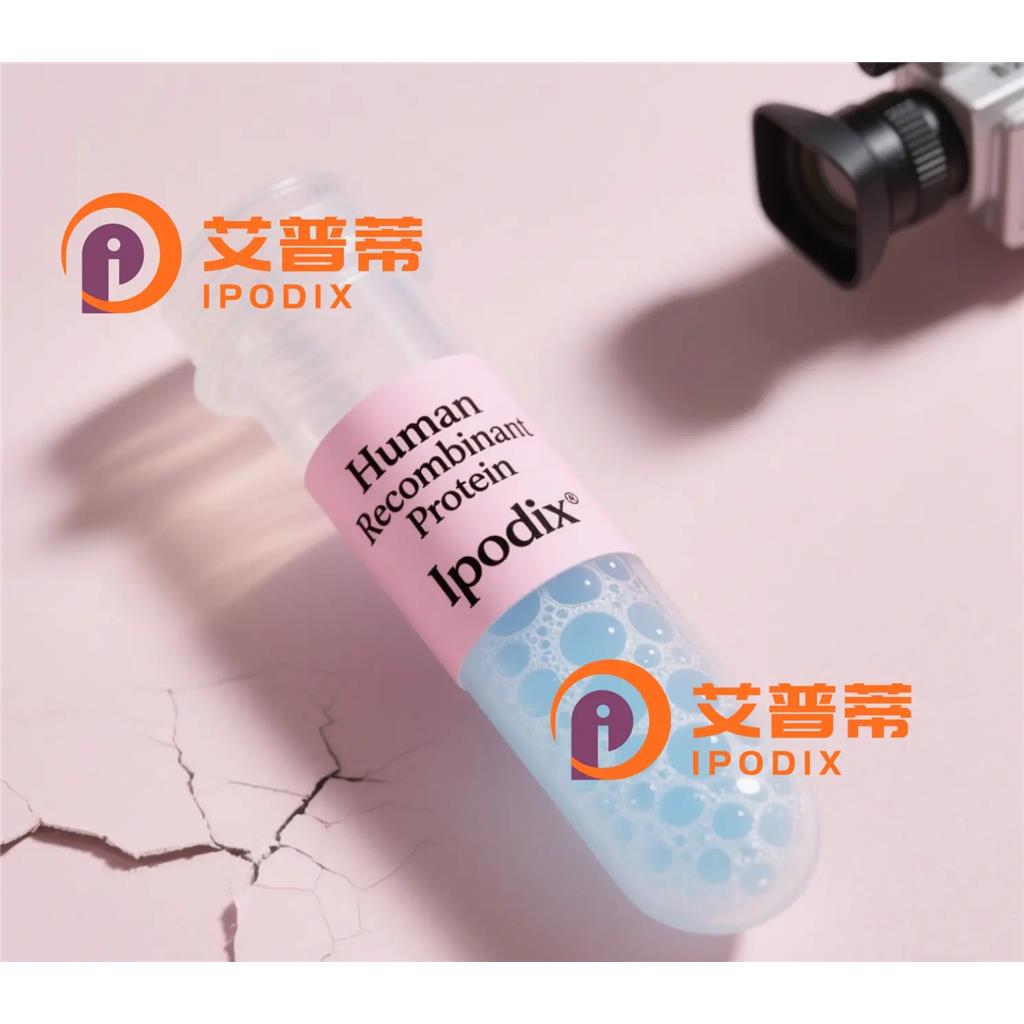 CD61抗体—艾普蒂