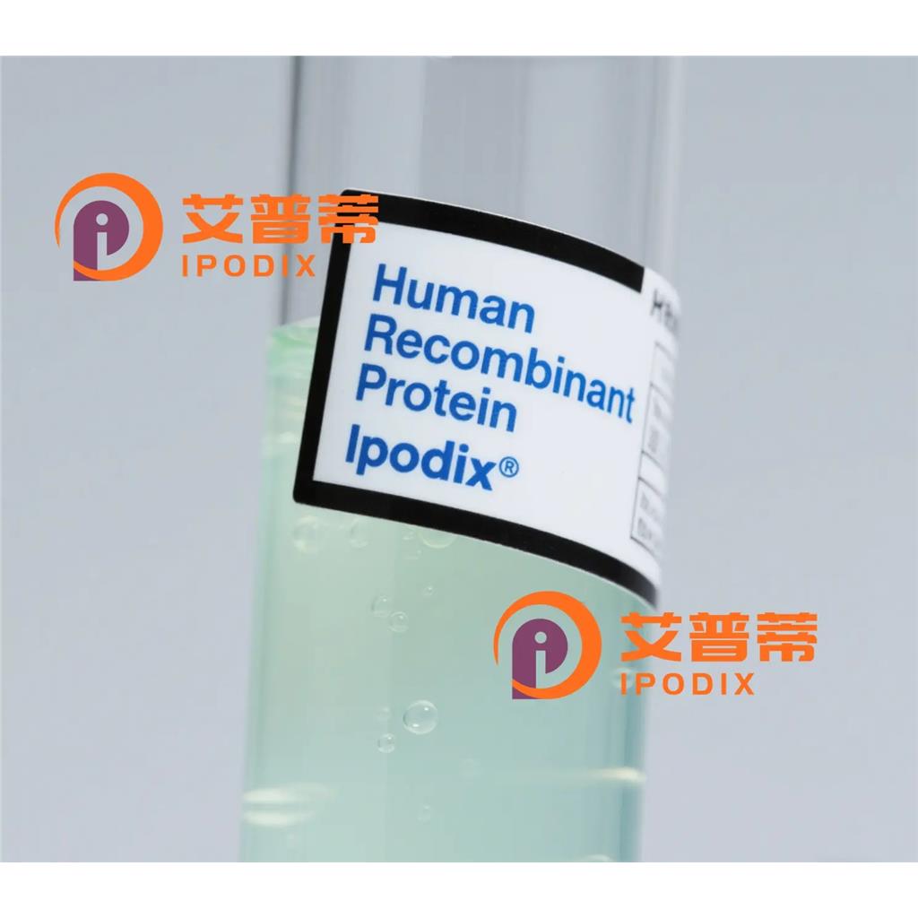 CD315抗体—艾普蒂