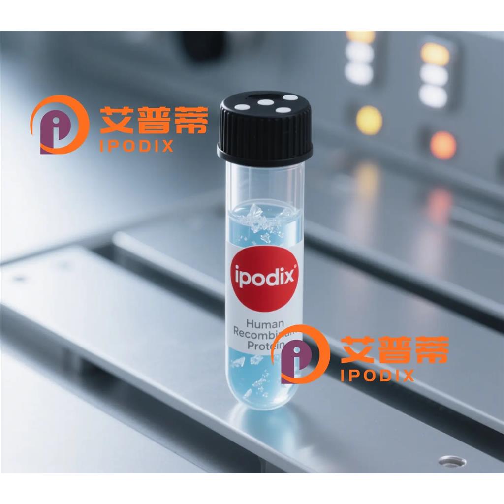 CD81抗体—艾普蒂