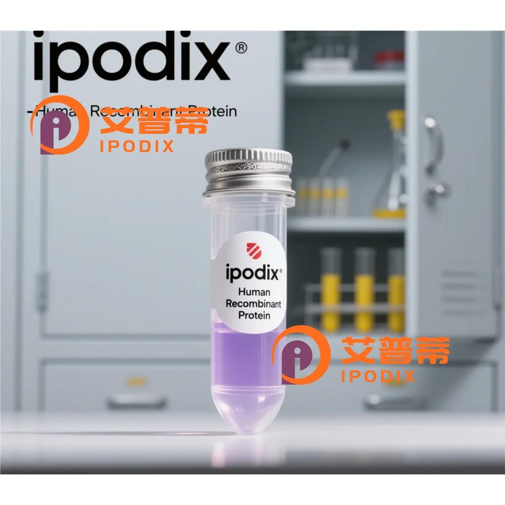 CD88抗体—艾普蒂