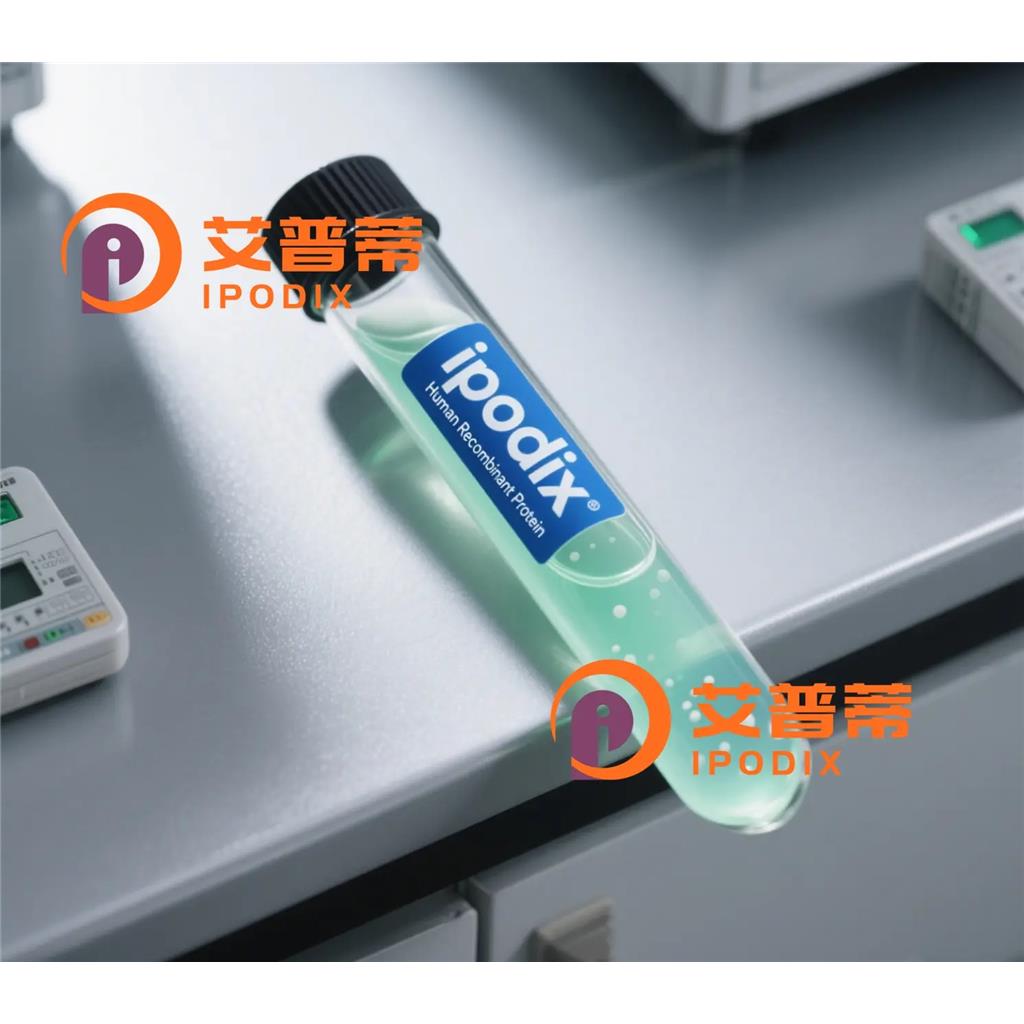 SLC22A24抗体—艾普蒂