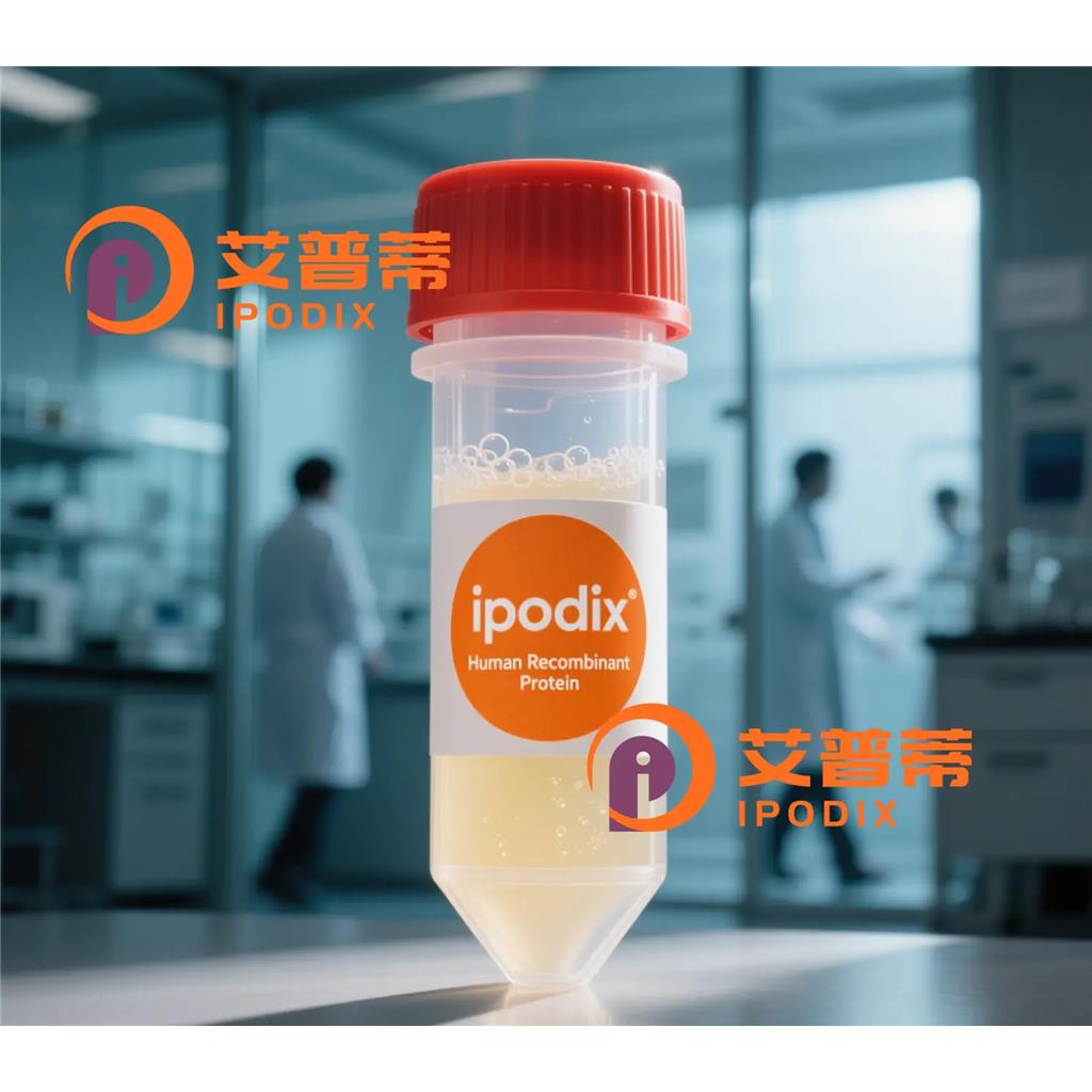 POLR2I抗体—艾普蒂