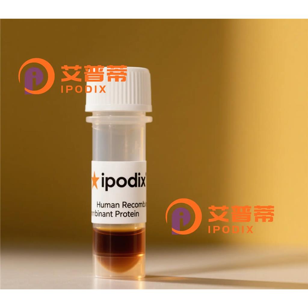 SPIRE1抗体—艾普蒂