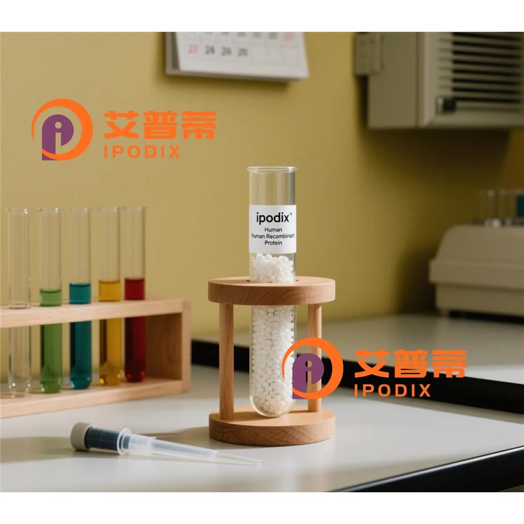 PSMA4抗体—艾普蒂