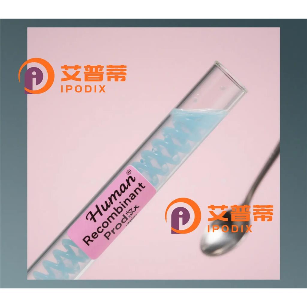 DHX36抗体—艾普蒂