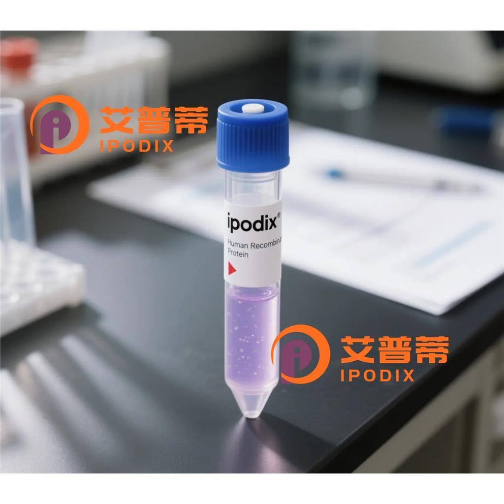 HIC2抗体—艾普蒂