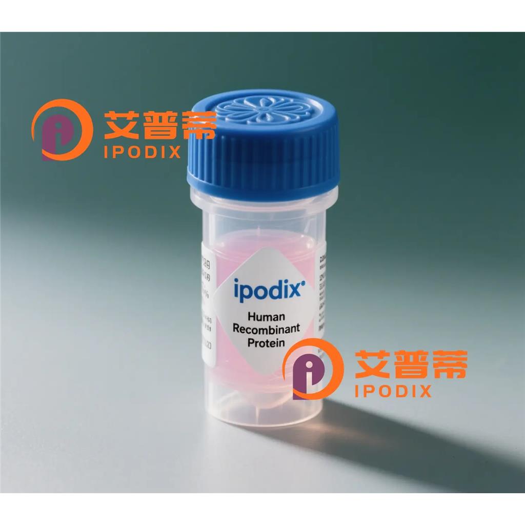 IP6K1抗体—艾普蒂