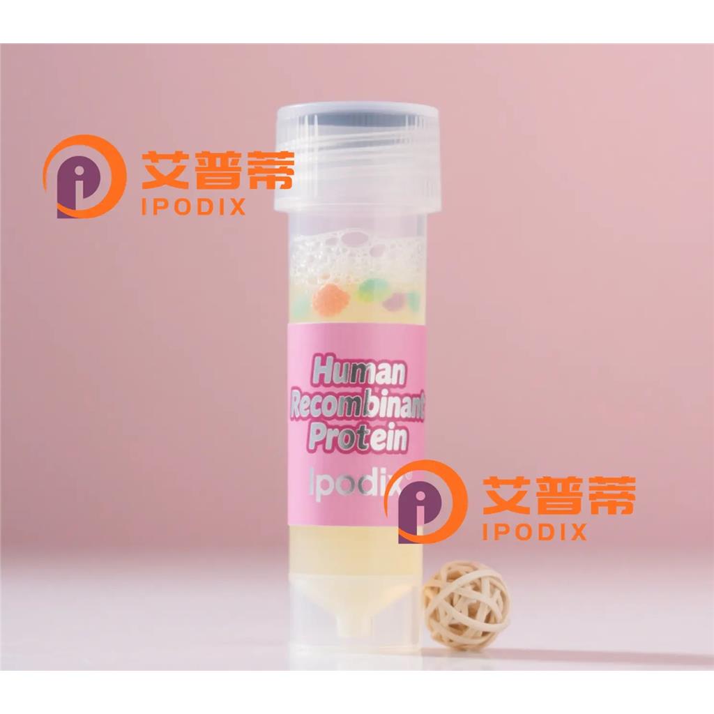 APLP1抗体—艾普蒂