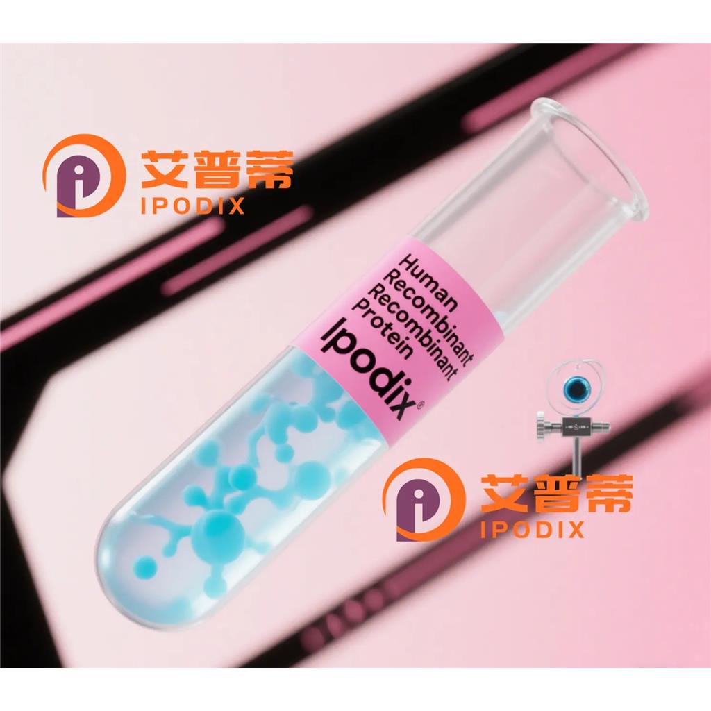 CSH1抗体—艾普蒂