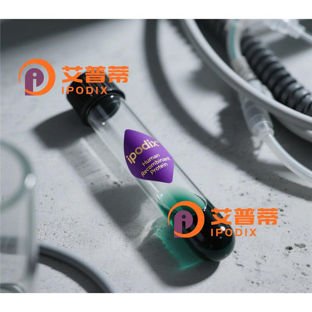 HSD17B7抗体—艾普蒂