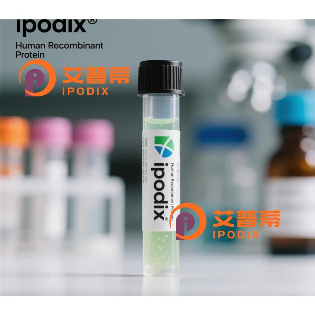 BUB3抗体—艾普蒂