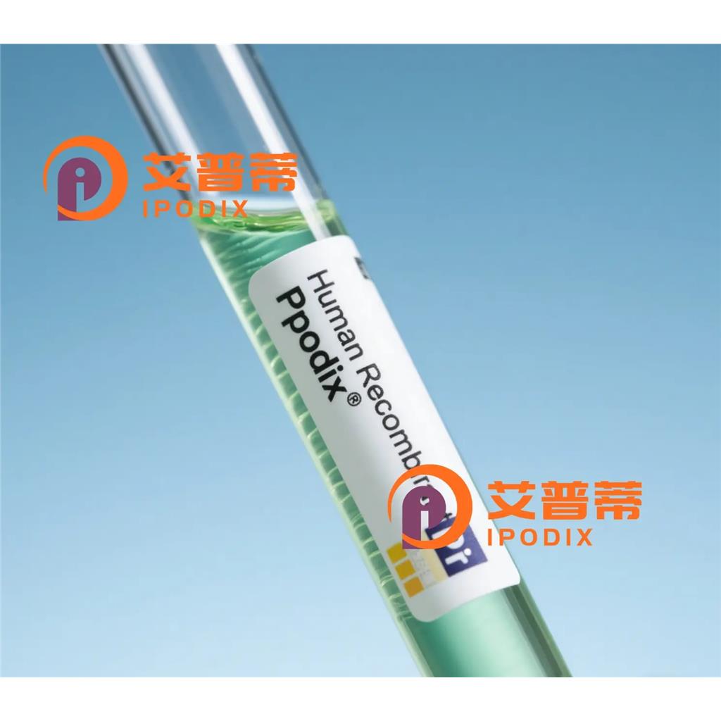 MRPL39抗体—艾普蒂