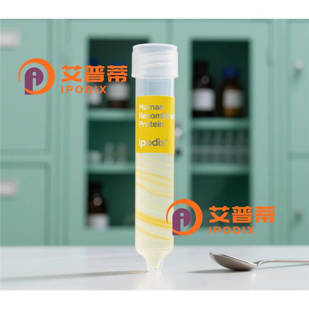 POT1抗体—艾普蒂