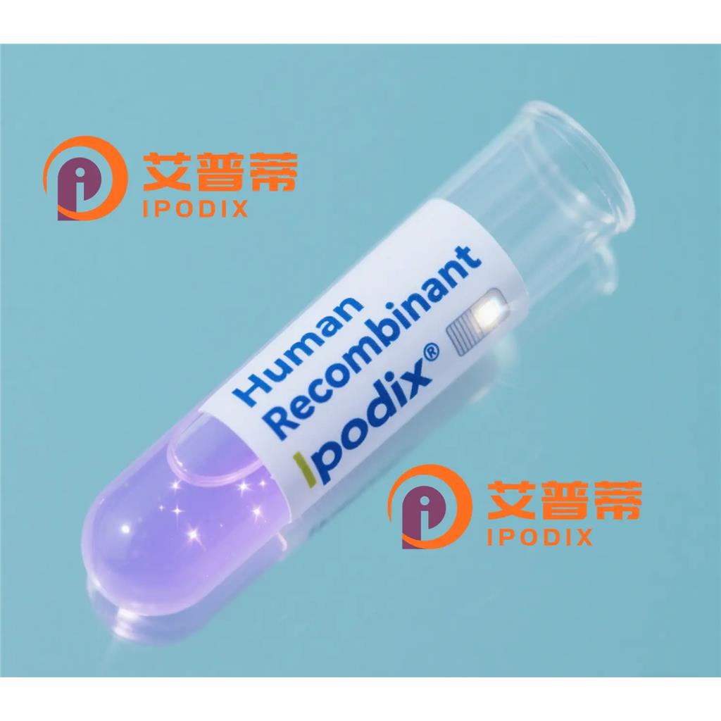 PSMC1抗体—艾普蒂