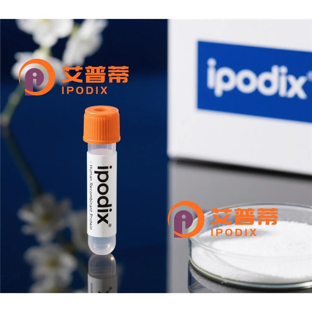 STX19抗体—艾普蒂