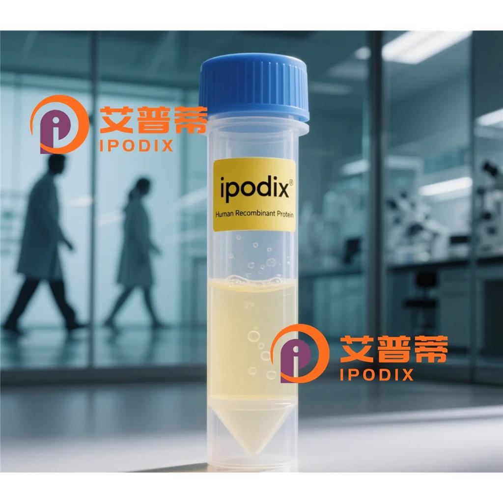 TPSB2抗体—艾普蒂