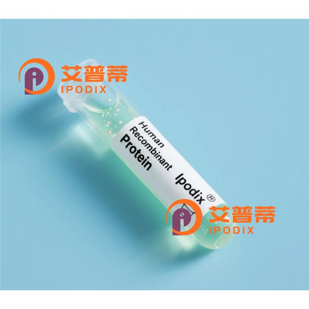 UBE2R2抗体—艾普蒂