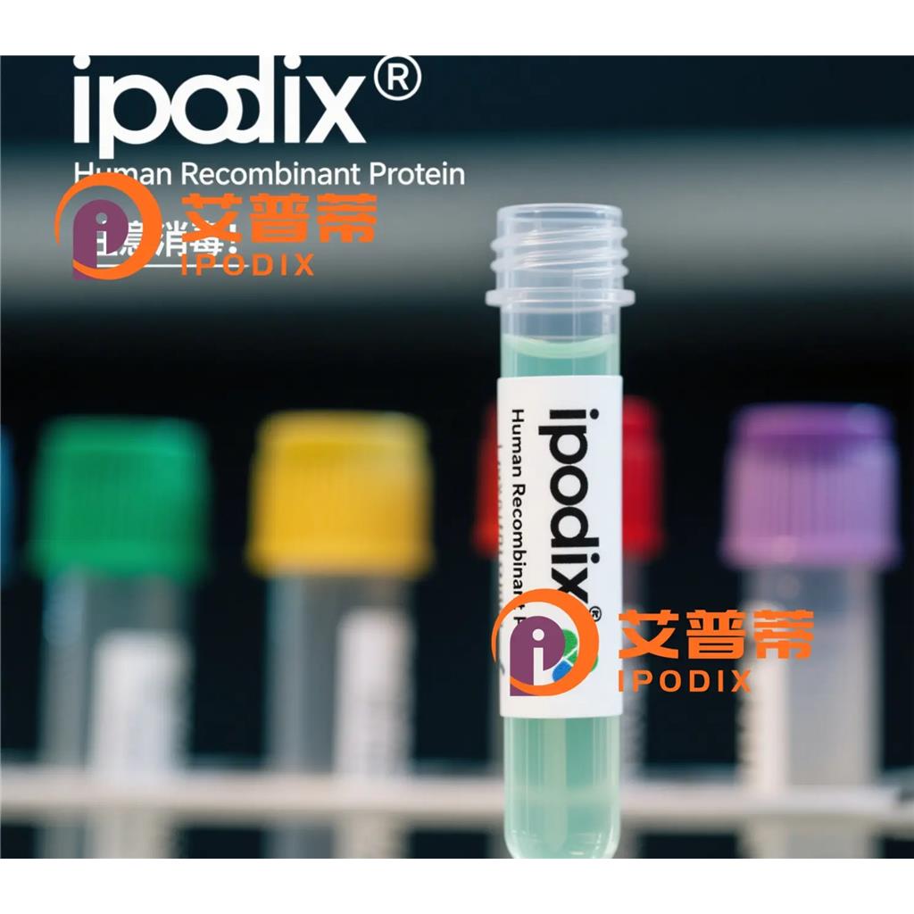 UTP11抗体—艾普蒂