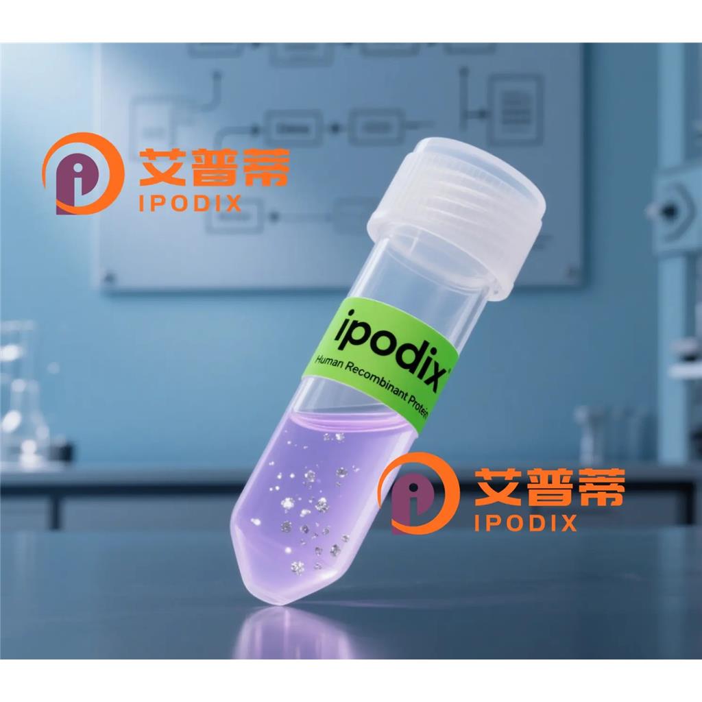 CFAP410抗体—艾普蒂