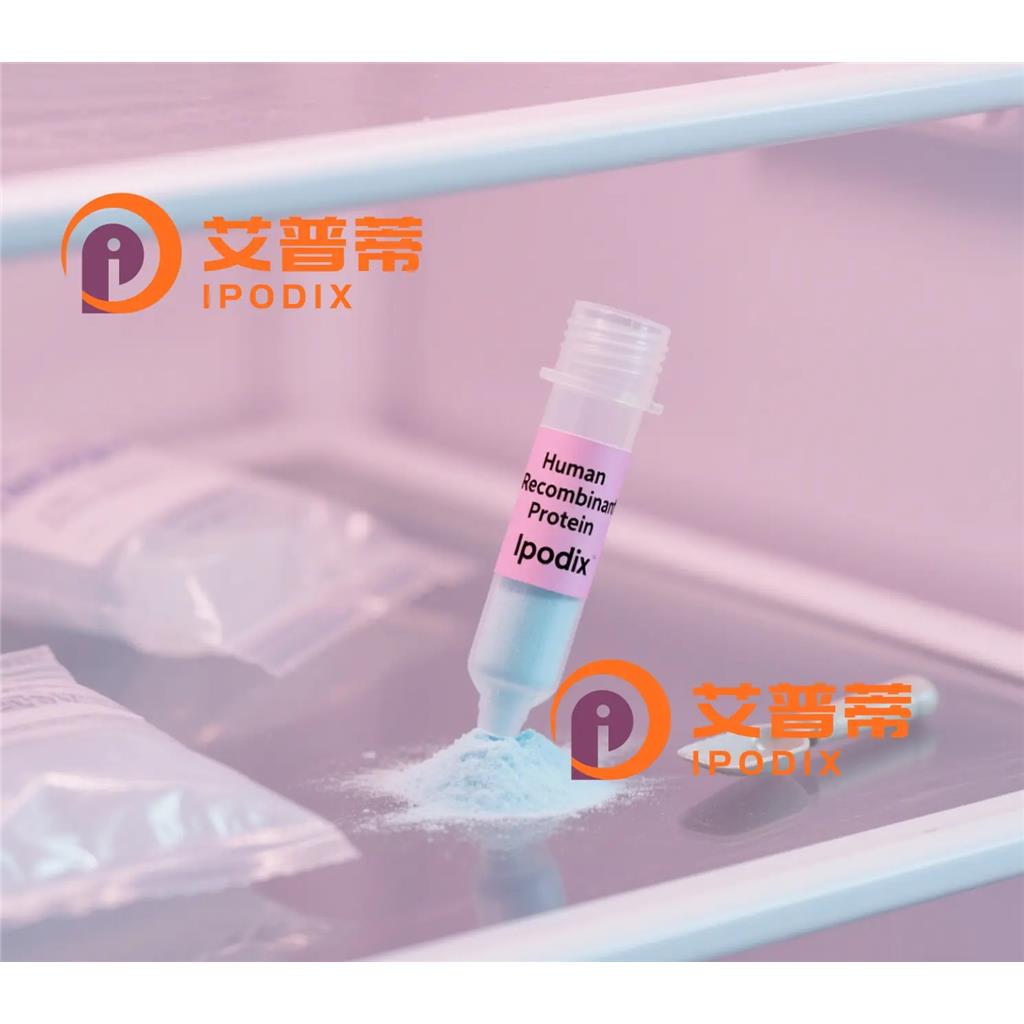 CDADC1抗体—艾普蒂