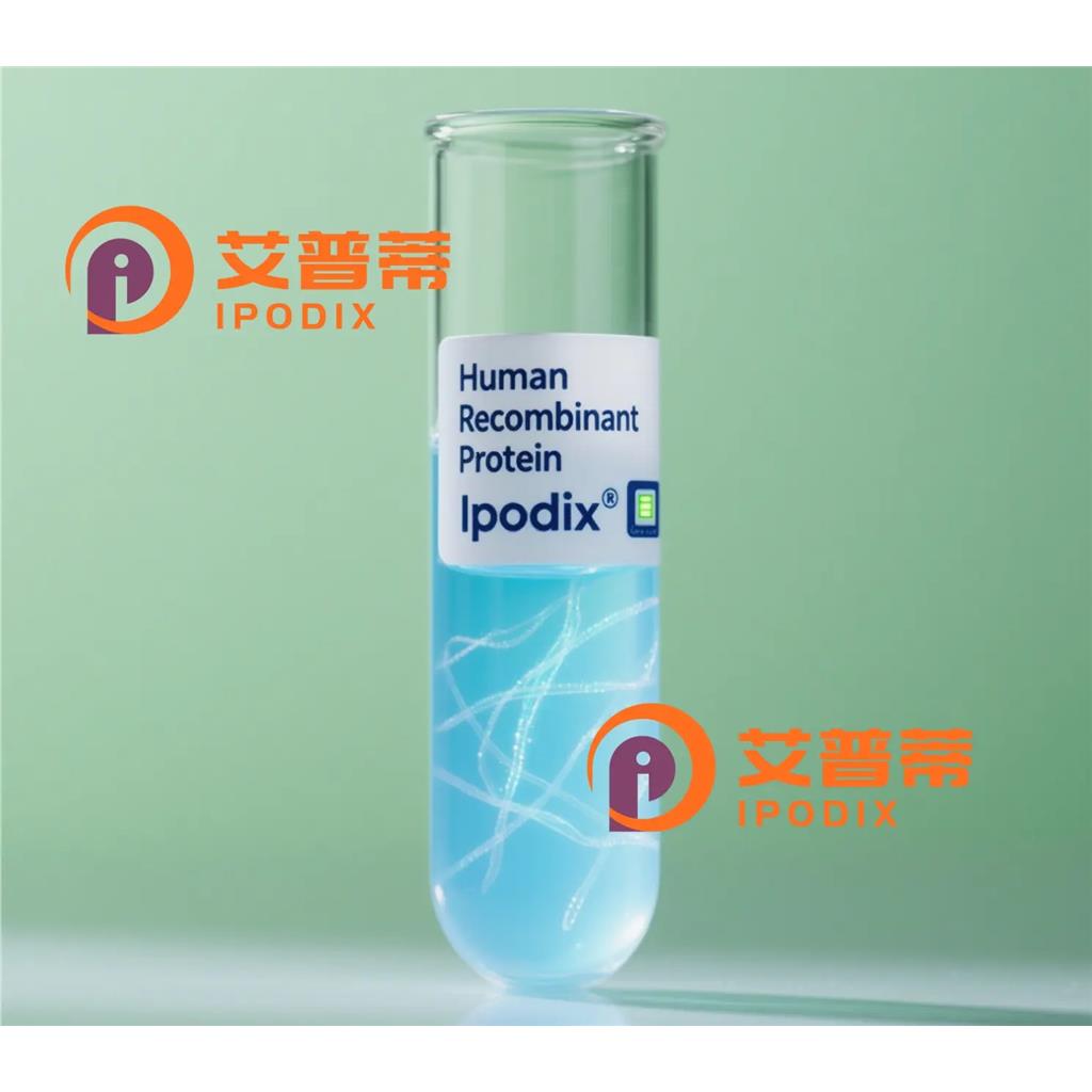 CPNE3抗体—艾普蒂