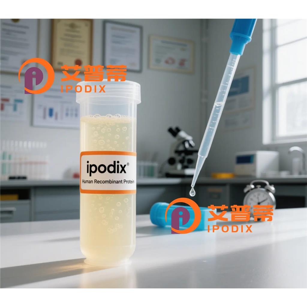 NUTF2抗体—艾普蒂