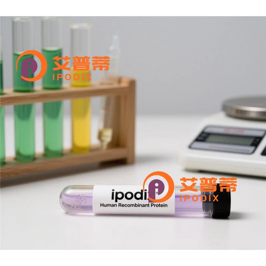 PFN1抗体—艾普蒂