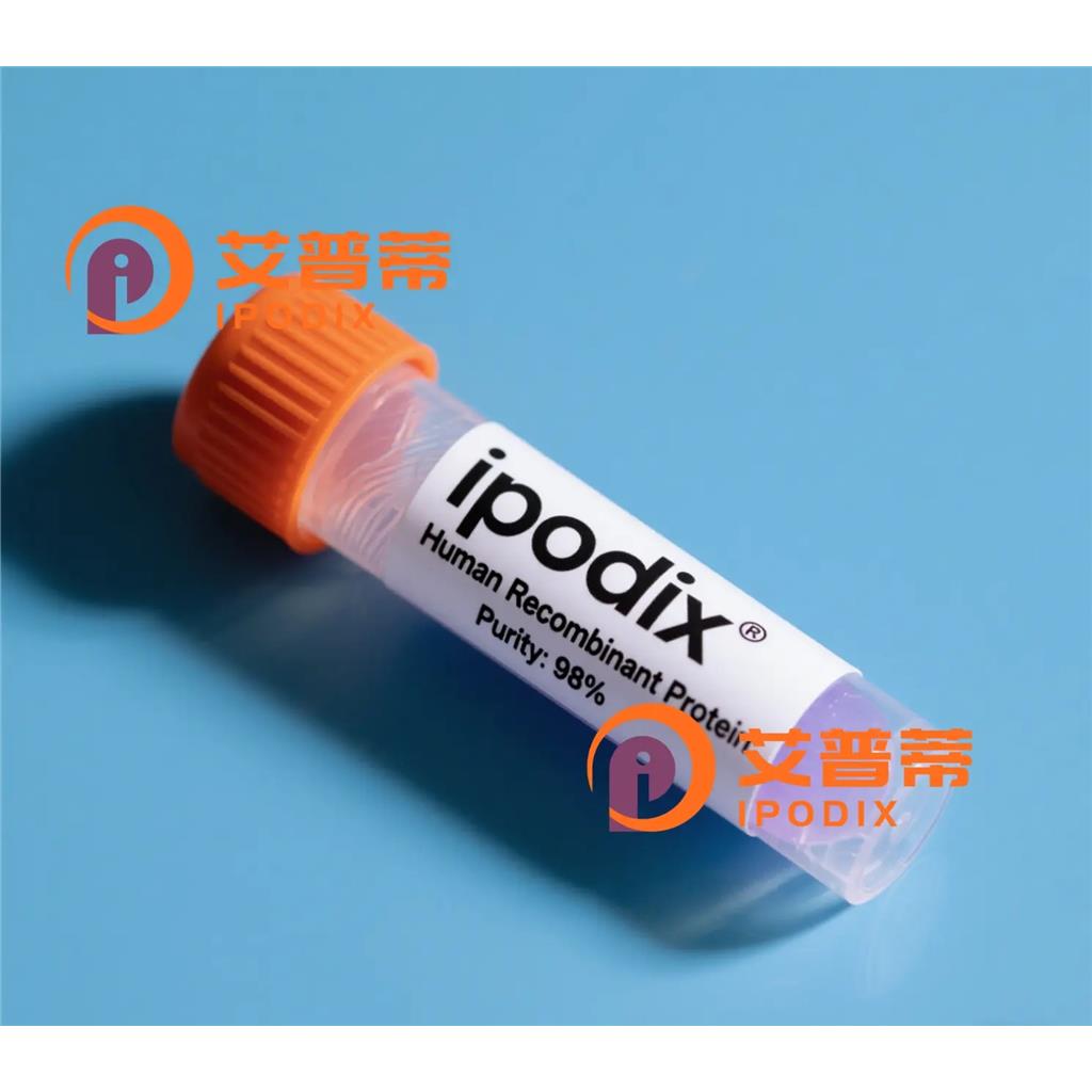 SOCS7抗体—艾普蒂