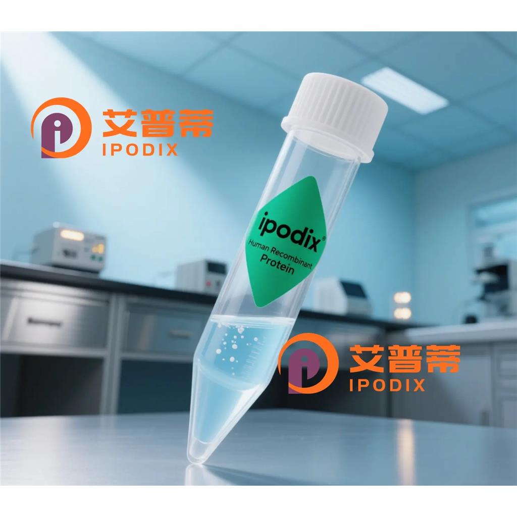 P4HB抗体;P4HB Antibody—艾普蒂