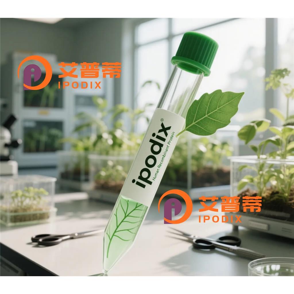 FPR3抗体;FPR3 Antibody—艾普蒂